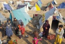 سازمان بین‌المللی مهاجرت