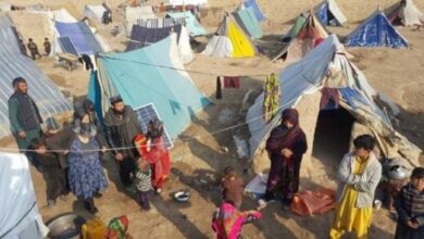 سازمان بین‌المللی مهاجرت