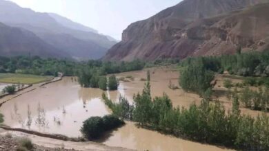 سیل در بامیان خسارت مالی بر جای گذاشت