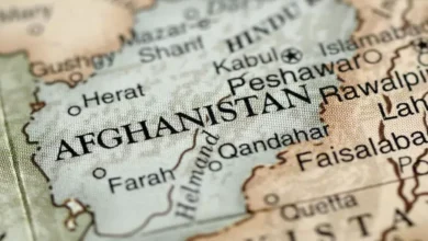 دولت فراگیر