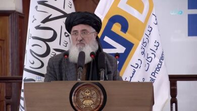 حنیف: برخی کشورهای همسایه در تلاش برای توقف رشد اقتصادی افغانستان هستند