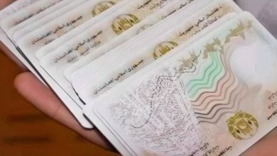 طالبان: تیم کاری برای تسهیل روند صدور تذکره و پاسپورت به ایران اعزام می‌شود