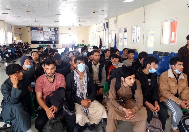 نامهای برای انسانیت؛ پژوهشگران و فعالان مدنی ایران خواستار توقف اخراج مهاجران افغانستانی شدند