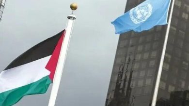 ثمره جان‌فشانی‌ها؛ پرچم فلسطین بر فراز سازمان جهانی بهداشت