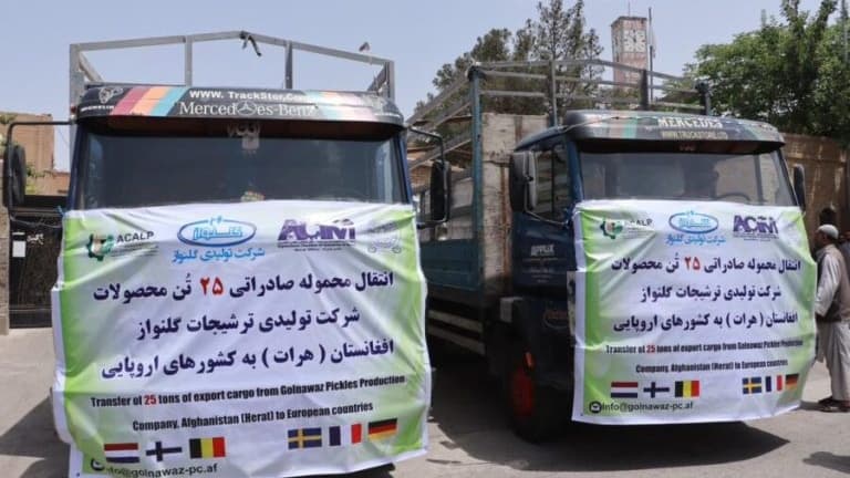 برای اولین‌بار 25 تن ترشی محلی از هرات به اروپا صادر شد