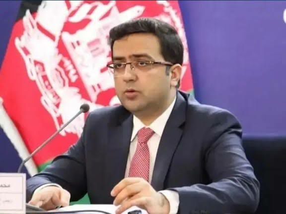 پاداش میلیونی امریکا برای یافتن محمود حبیبی