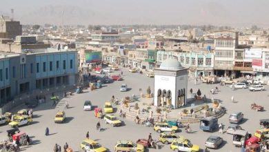 قندهار در وضعیت فوق‌العاده؛ از نشست احتمالی کابینه تا حفاظت از محمود شاه حبیبی