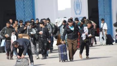 سازمان‌ملل: احتمال بازگشت سه میلیون مهاجر افغانستانی تا پایان سال‌جاری