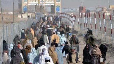 بازگشت بی‌سابقه در یک روز؛ ۳۴۰۰ خانواده از ایران و پاکستان وارد افغانستان شدند
