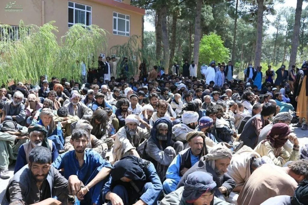 بیش از ۱۰۰ تن از معتادین به موادمخدر در هرات تداوی شدند