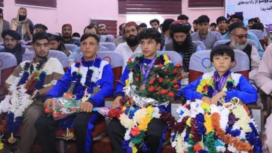 حکومتسرپرست از قهرمانان ووشوی کشور تقدیر کرد