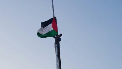 واکنش اسکاتلند به بحران غزه؛ برافراشتن پرچم فلسطین و تحریم اسرائیل