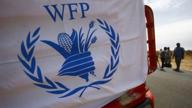 برنامهجهانیغذا: برای رسیدگی به بحرانانسانی در افغانستان ۵۶۸ میلیون دالر نیاز فوری است