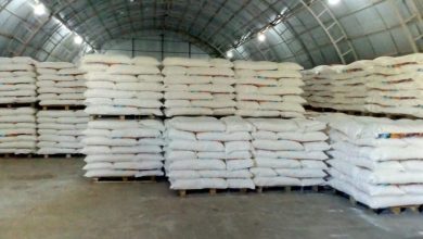 افغانستان ۶۰۰ هزار تُن مواد اولیه غذایی از قزاقستان میخرد