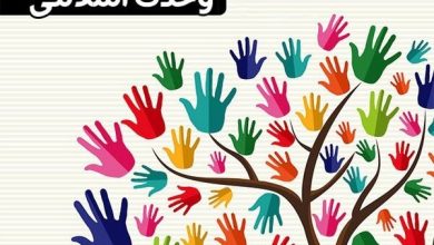 وحدتاسلامی؛ راهبردی برای عبور افغانستان از بحران افراطگرایی