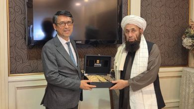 ترکیه برای گسترش همکاری‌های زراعتی با افغانستان اعلام آمادگی کرد