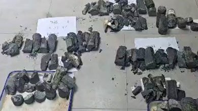 روند مطالعات سنگ‌های بند برق باغدره در چین افتتاح شد