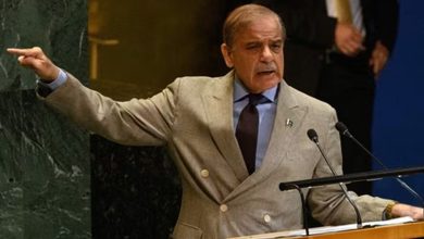 شهبازشریف: طالبان علیه گروههای تروریستی اقدام عملی کند