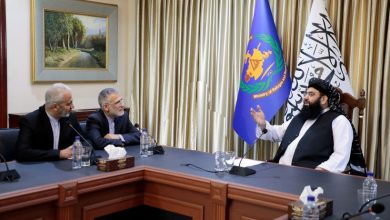 ایران ۲۰۰ هزار ویزای کاری برای افغانستانی‌ها صادر می‌کند