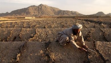 افزایش ناامنی غذایی در پی کمبود بارندگی در افغانستان