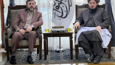 غریب‌آبادی: مرزهای ایران و افغانستان مرزهای دوستی و همکاری است