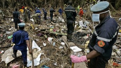 سانحه مرگبار در کنیا؛ سقوط هواپیما با ۱۱ کشته گردشگر خارجی