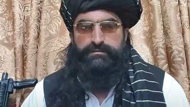 نورولی محسود در پیام صوتی: زنده‌ام و در مناطق قبایلی به‌سر می‌برم