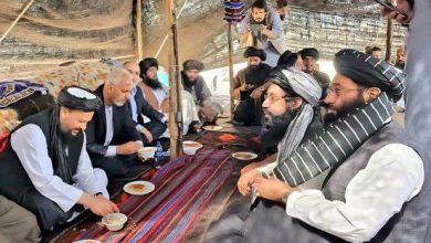 همکاریهای کشاورزی و دامپروری میان ایران و افغانستان تقویت میشود