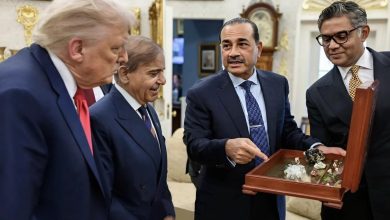 جعبه‌‌سنگ‌های قیمتی برای ترامپ؛ پاکستان زیر تیغ انتقاد سیاستمداران و کاربران