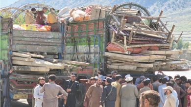 آخرین گروه پناهجویان کشور از چترال پاکستان اخراج شد
