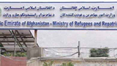 امضای شش تفاهمنامه با مؤسسات بینالمللی برای بهبود وضعیت مهاجران