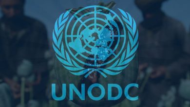 سقوط مثبت؛ سازمان ملل: افغانستان دیگر بزرگ‌ترین تولیدکننده تریاک جهان نیست