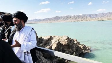 قمار کابل روی آب میتواند نتیجهای معکوس داشته باشد