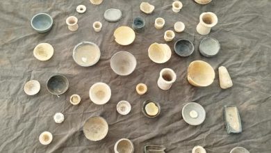 کشف ۴۸ قطعه اثر تاریخی در نیمروز و انتقال به موزه محلی