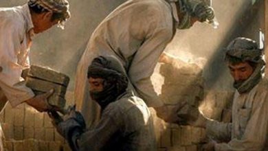 مجلس ایران: بدون نیروی کار افغانستانی اقتصاد ایران با بحران مواجه میشود