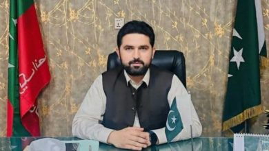 سهیل آفریدی، وزیر ارشد ایالت خیبرپختونخوا نیز در سخنانی با اشاره به اشتراکات فرهنگی و دینی دو کشور گفت: «در صورت حضور همه ذینفعان، گفتوگو با طالبان میتواند نتایج مثبتی به همراه داشته باشد. اگر جنگ راه حل است، باید آخرین گزینه باشد، نه نخستین انتخاب.»