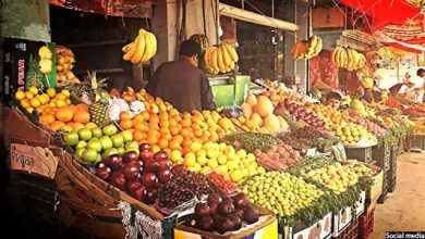 آغاز صادرات میوه و سبزیجات تازه افغانستان از طریق دهلیز هوایی به ازبیکستان