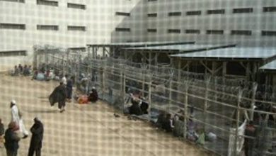 عفو بیش از ۱۹ هزار زندانی؛ بسیاری از زندانیان بی‌گناه هستند