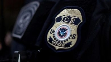 بازداشت‌ ۷ پناه‌جوی افغان؛ آمریکا: آن‌ها را بازمی‌گردانیم