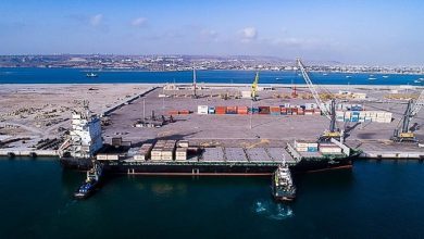 سالانه ۶ میلیون تُن کالا در بندر چابهار تخلیه و بارگیری می‌شود