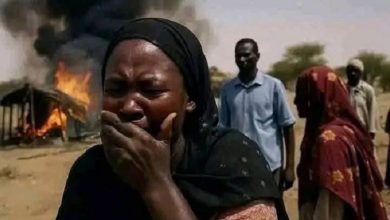 فاجعه انسانی در الفاشر سودان؛ سازمان ملل خواستار اقدام فوری شد