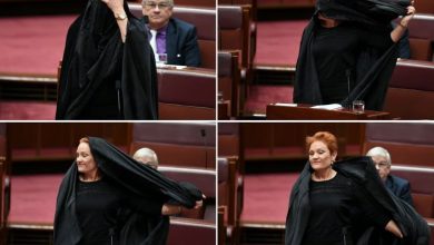 اقدام جنجالی علیه زنان مسلمان؛ تعلیق یک هفتهای عضویت پاولین هانسون در سنا