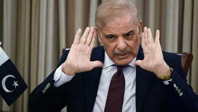 شهباز‌شریف: صلح پایدار منطقه در گرو مهار گروه‌های افراطی در افغانستان است