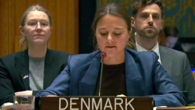 هشدار دنمارک در شورای امنیت: تی‌تی‌پی و داعش خطر جدی برای منطقه