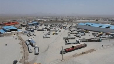 رکورد ۲۳۰ میلیون دالری صادرات خراسان جنوبی به افغانستان