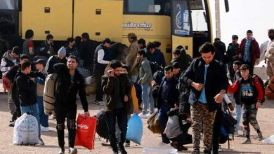 بیش از ۱۴ هزار مهاجر کشور از پاکستان و ایران بازگشتهاند