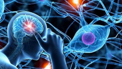 پژوهش تازه: موسیقی خطر ابتلا به زوال عقل را تا ۴۰ درصد کاهش می‌دهد