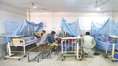 افزایش موارد ابتلا به تب دِنگی در مرز پاکستان و ایران