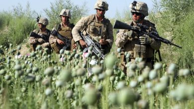 نارکو-تروریزم: افسانه‌ای سیاست‌ساز از افغانستان تا آمریکای لاتین