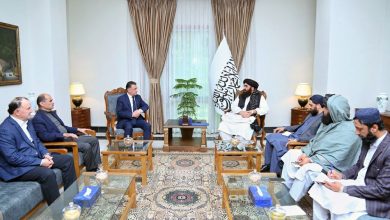 تأکید دوشنبه و کابل بر گسترش روابط